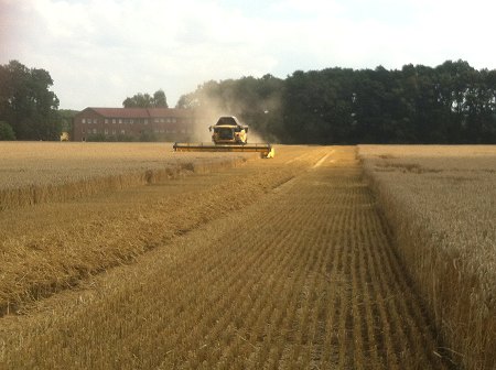 Ackerbau
