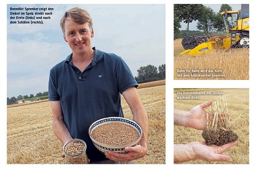 Reportage hierzulande 2016