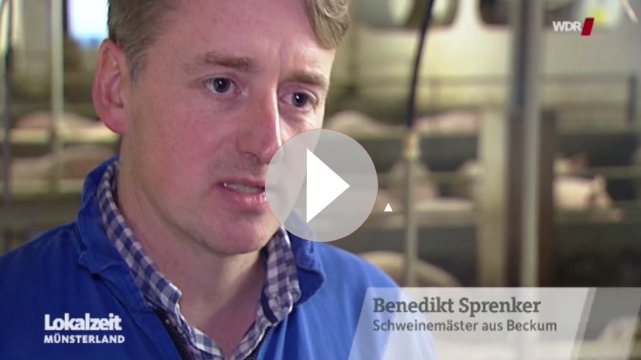 Startbild WDR Video 01.12.2017